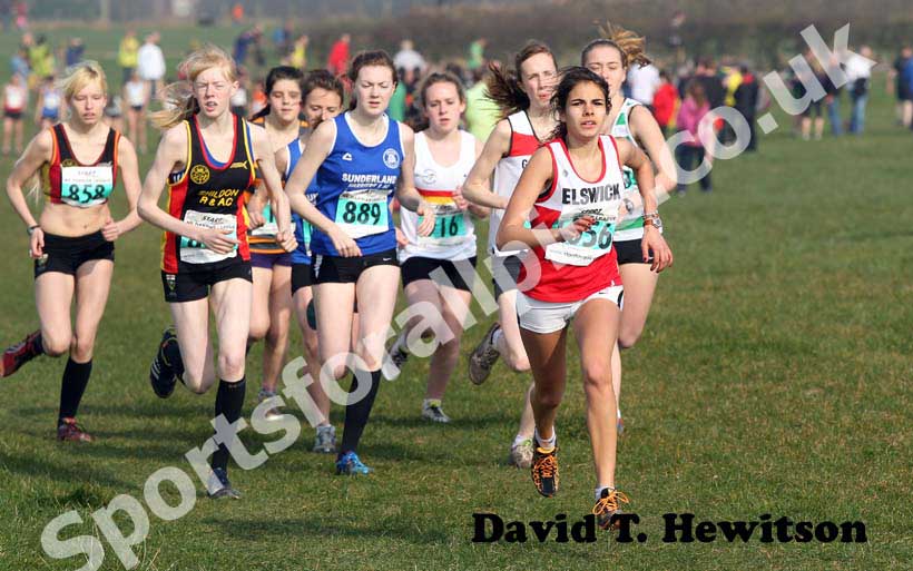 Green start North East Harrier League, Prudhoe, Northumberland.